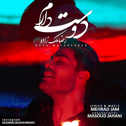 Cover artwork for Dooset Daram by Reza Malekzadeh